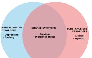 Co-Occuring Disorders Venn Diagram